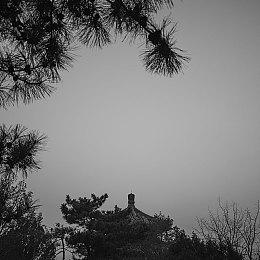 《最终幻想7：重生》新短片 在世界中追寻萨菲罗斯